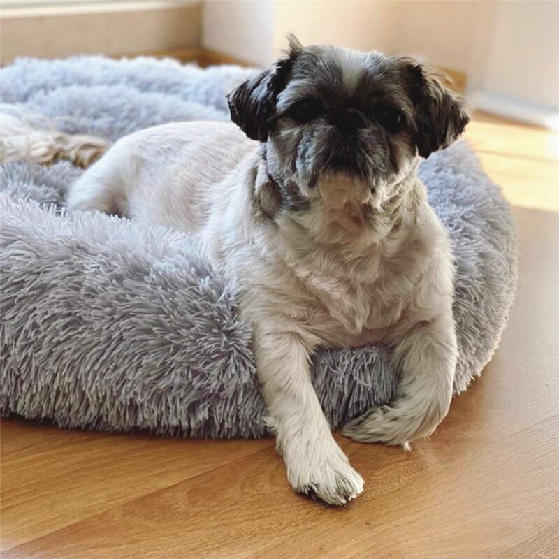 Ultra Soft Donut Pet Bed - Keep Your Furry Friend Cozy All Winter Long!