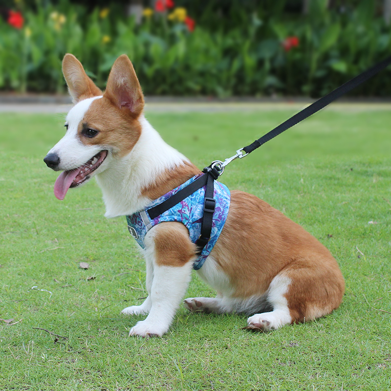 Easy Fit Harness -Step-in Small Dog Harness with Quick Release Buckle - On The Go Harness for Small Dogs or Medium Dog Harness for Indoor and Outdoor Use