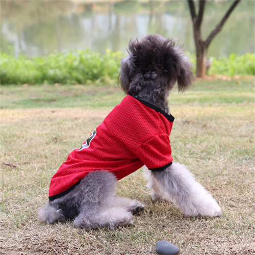 Pet Clothes Wholesale Cooling Dog Vest With Mesh For Summer