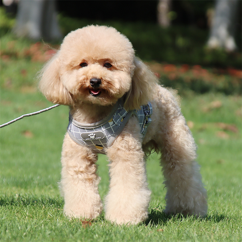 Wholesale Simple Step-In Dog Harness Easy Control Made From Tc Mesh Fabric For Safe Easy Walk