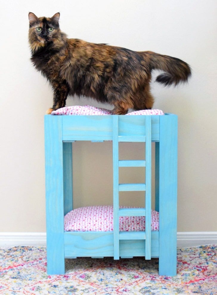 Cat Beds: From Caves to Perches, The Best Cat Beds for Your Kitty