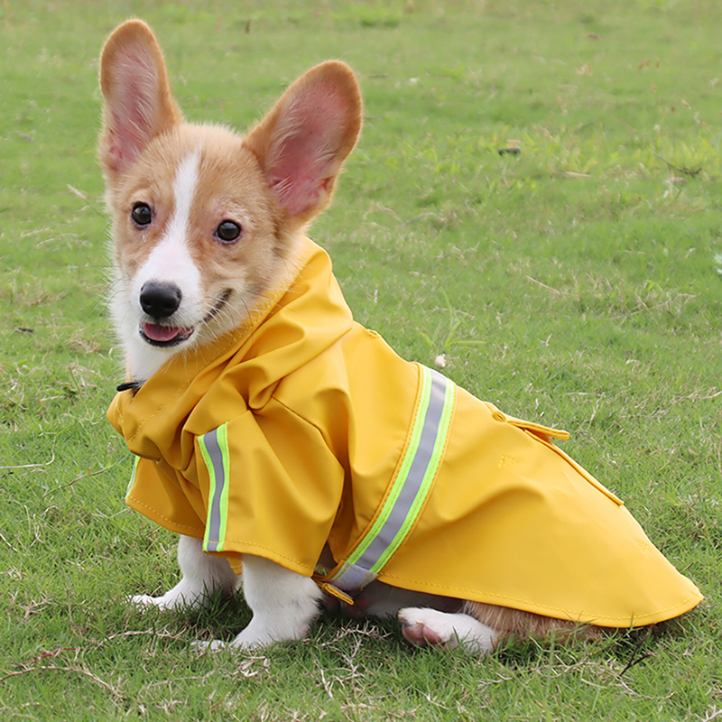  Hot Sale Stocked 100% Waterproof Fabric Reflection Design Pet Coats For Fun Outdoor Activities