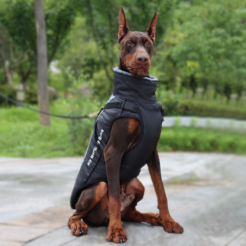Hot Selling Waterproof Windproof Warm Reflective Fall and Winter Coats, Suitable for Medium to Large Dogs Travel Outdoors