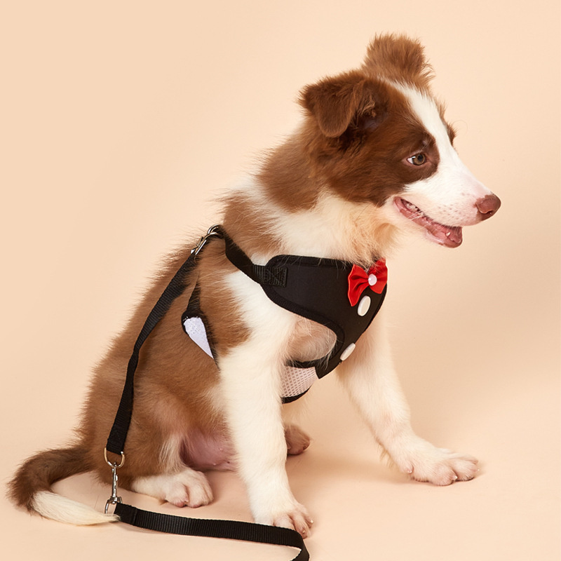 Wholesale Small Dog Harness Pets At Party Dog Harness