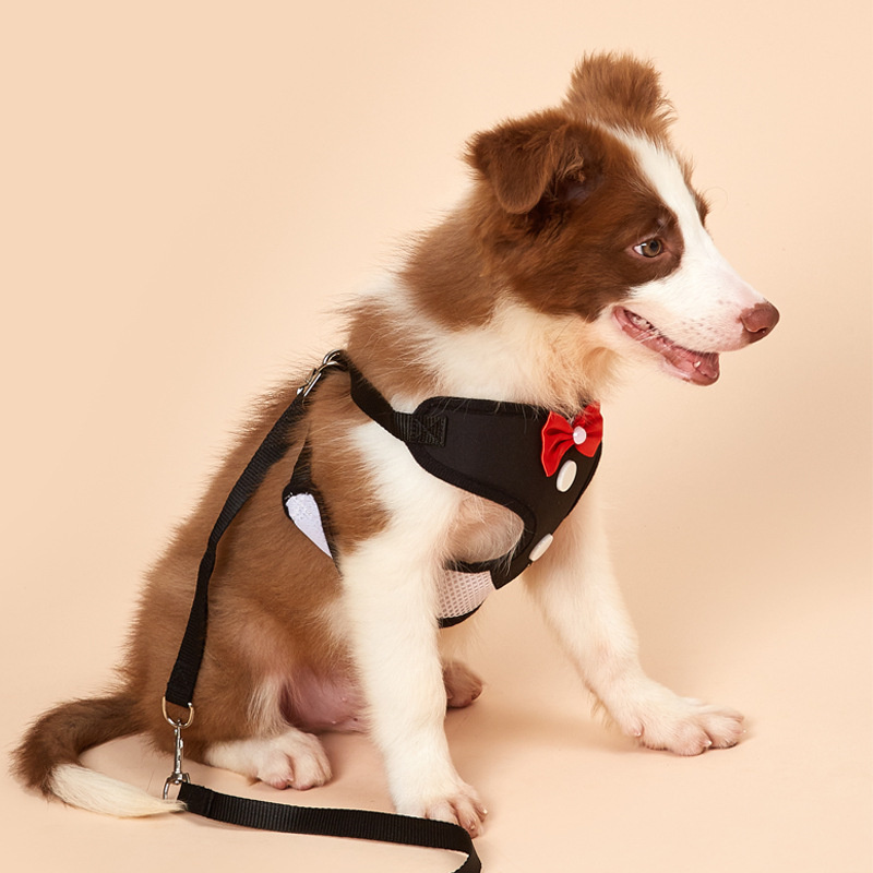 Durable and Reliable Foam Life Jacket for Pets - Stay Safe on the Water