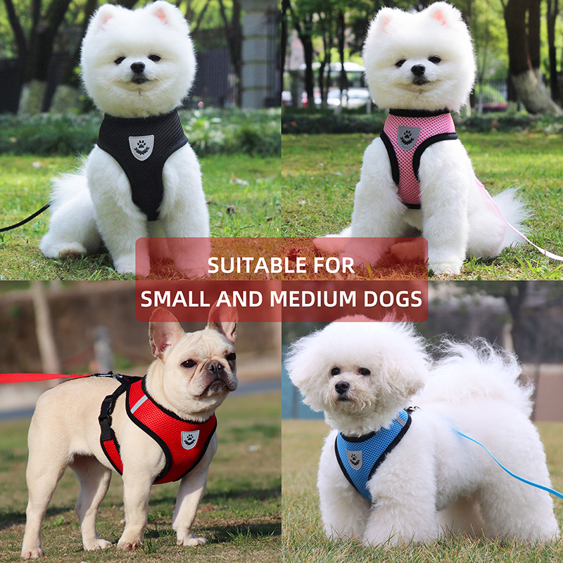 From Factory Quickly Fitting Dog Harness Vest Adjustable in Good Quality Pet Products Supplier