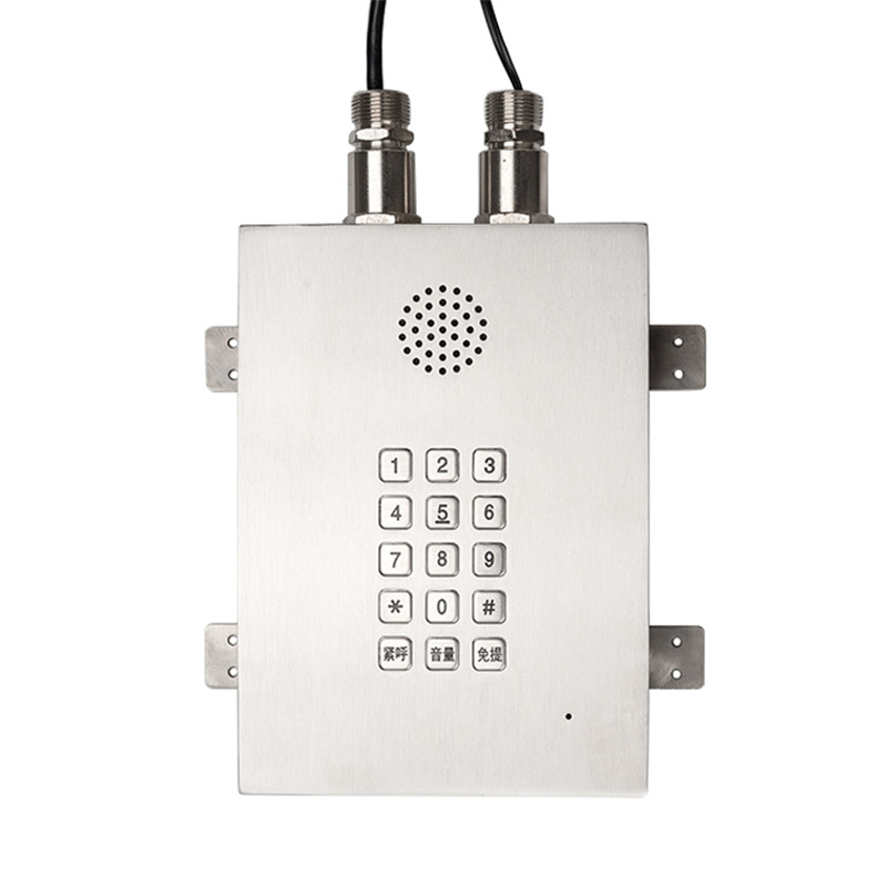 Explosionproof Wall Mounted HandsFree Emergency Intercom for pharmaceutical labs-JWBT813