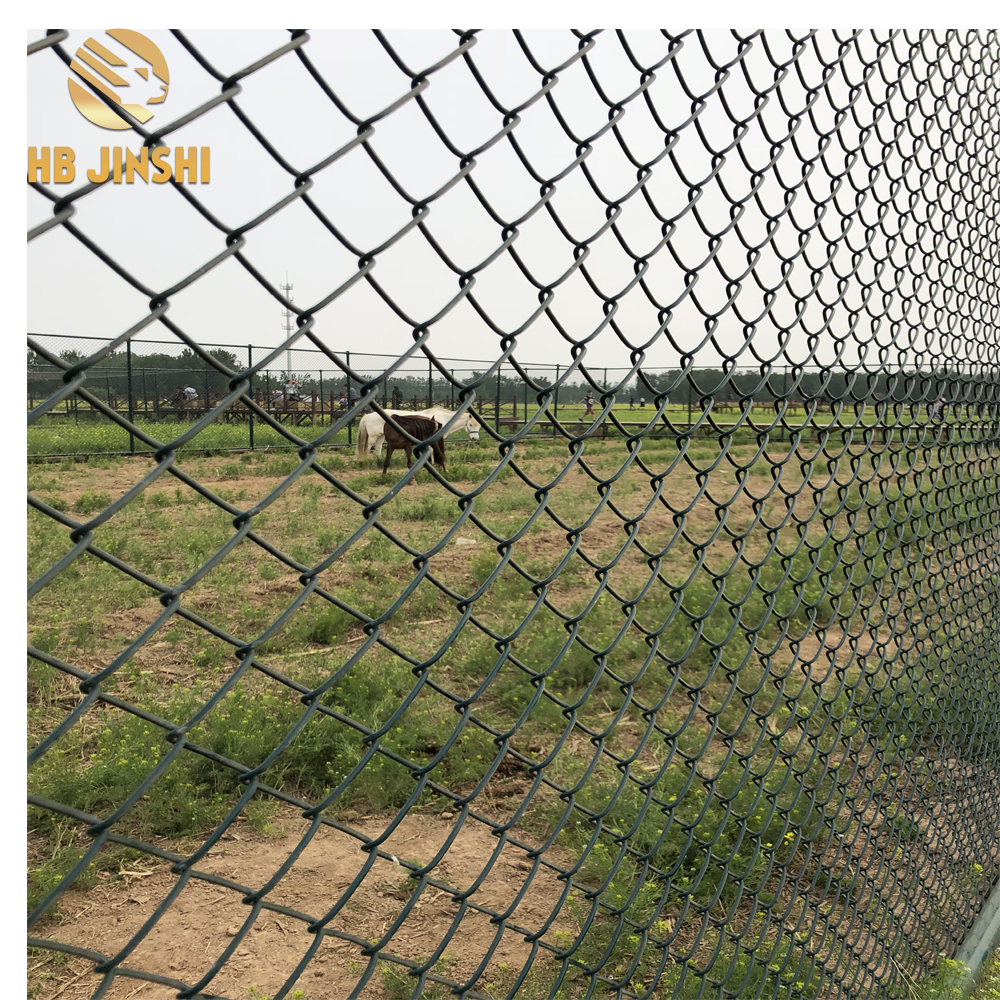 Eco Friendly Galvanized PVC Coated Wire Mesh Chain Link Fence For Animal Protection