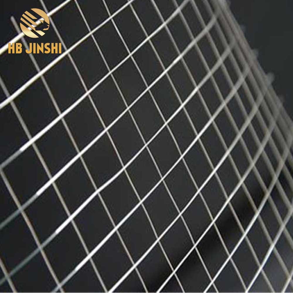 Hot sale Galvanized brc welded wire mesh for poultry house