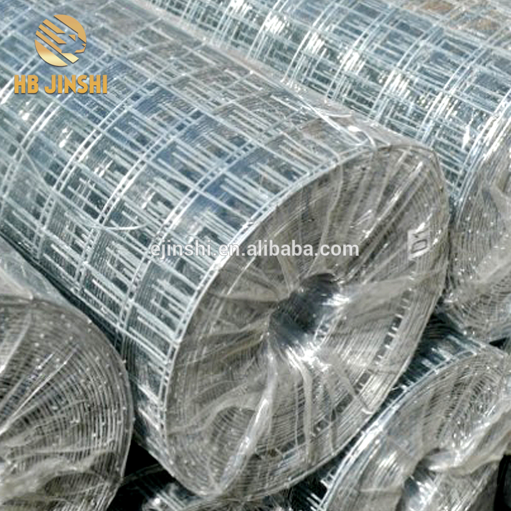 Welded wire iron mesh fence netting rolls for Dubai Market