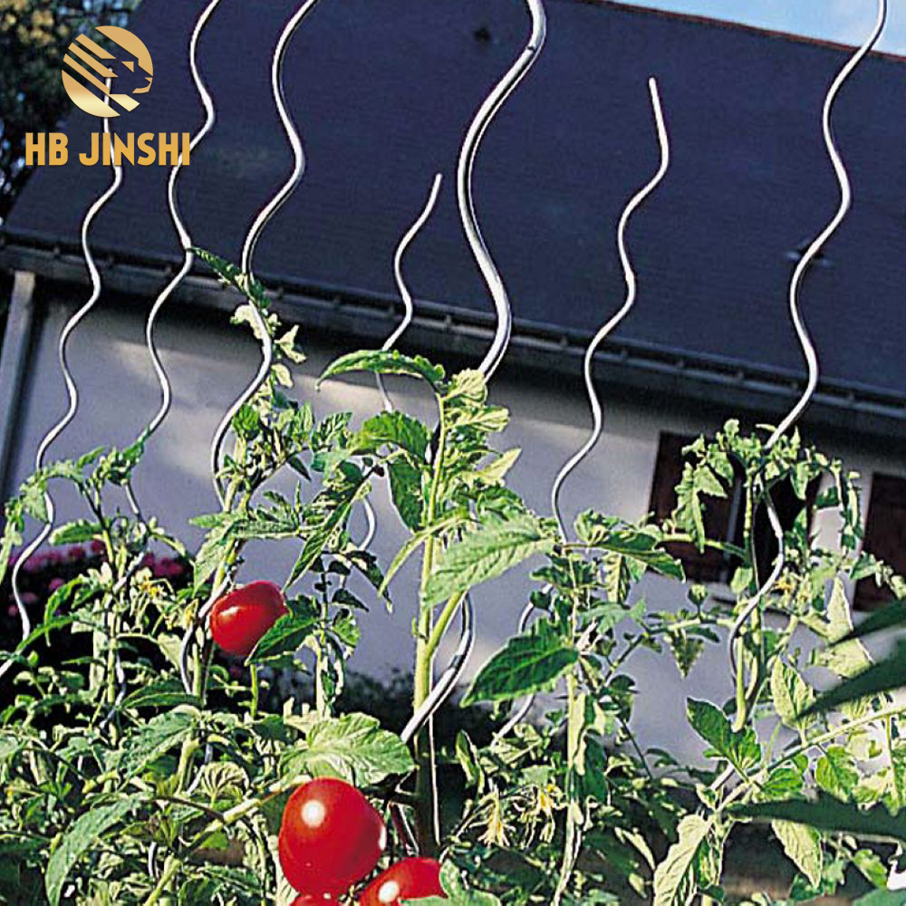 ISO9001 14001 Certificate Cheap Price High Quality 180cm Length Tomato Growing Support For Garden Design
