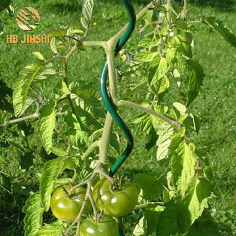  Hot dipped galvanized tomato trellis supports