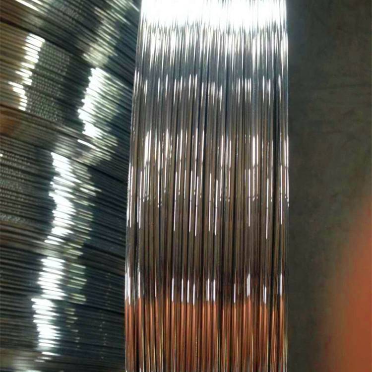 Hot sales 2.4*3.0 mm Brazil market Galvanized oval steel wire