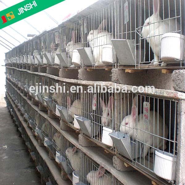 poultry cage of rabbit