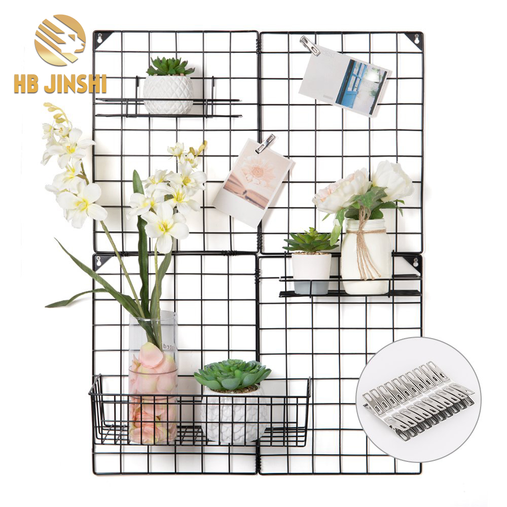 Picture Display Iron Decorative Rack Photograph Wall