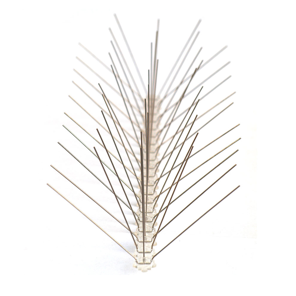12 Inch Stainless Steel Bird Spikes for fly control