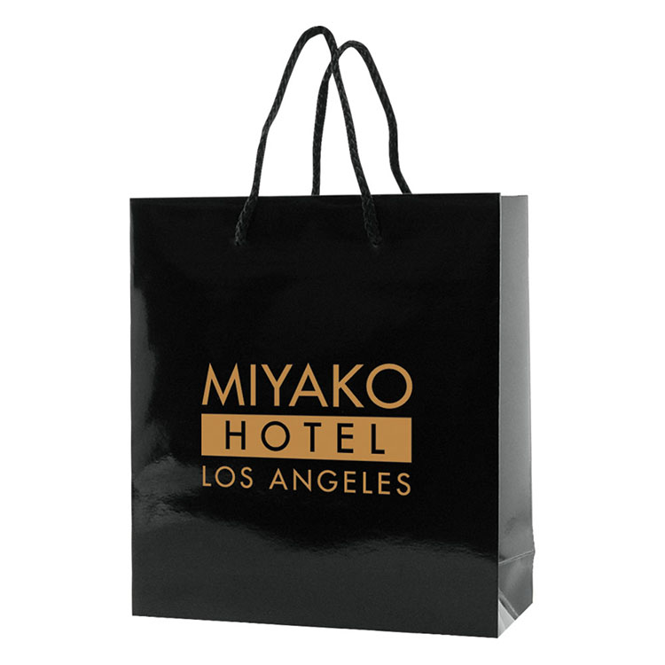 Glossy Laminated Shopping Bag for Clothes and Merchandise