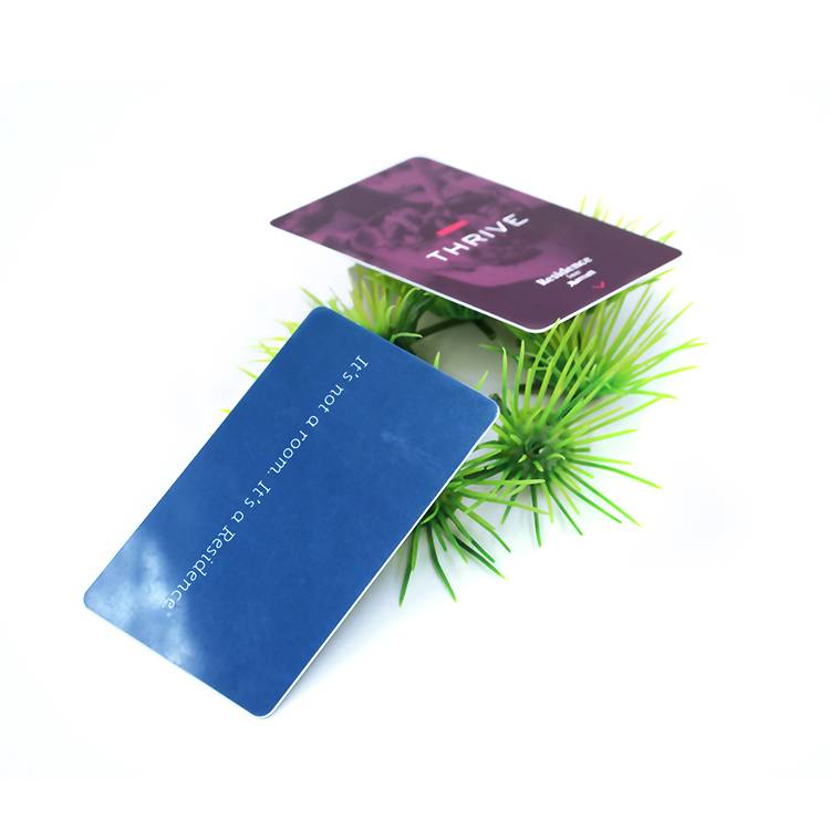 Plastic-Printed-Credit-Card-Size-PVC-Blank