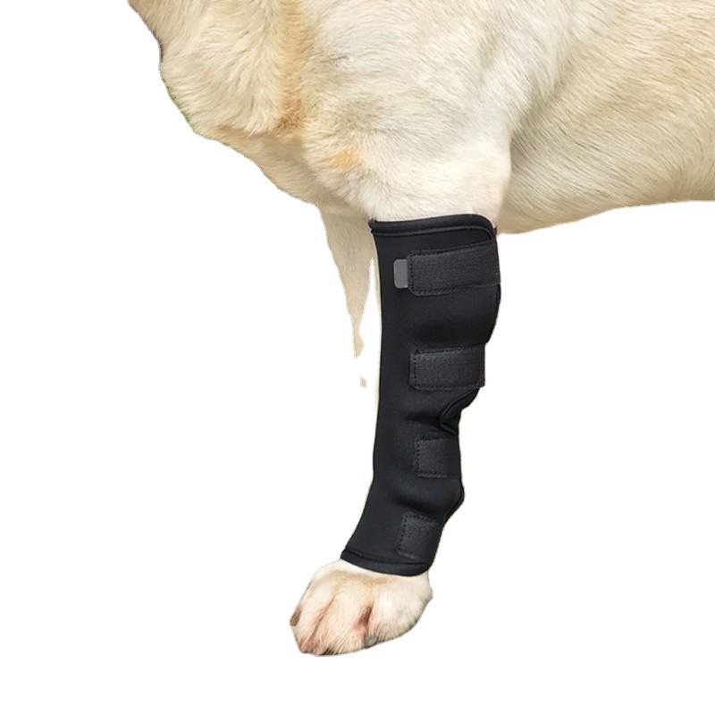 Wholesale dog knee pads can be adjusted to keep warm dogs injured dog knee pads