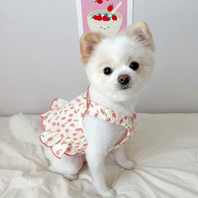 2022 New Pet Dress Puppy Teddy Summer Pet Clothes Small Dog Dress