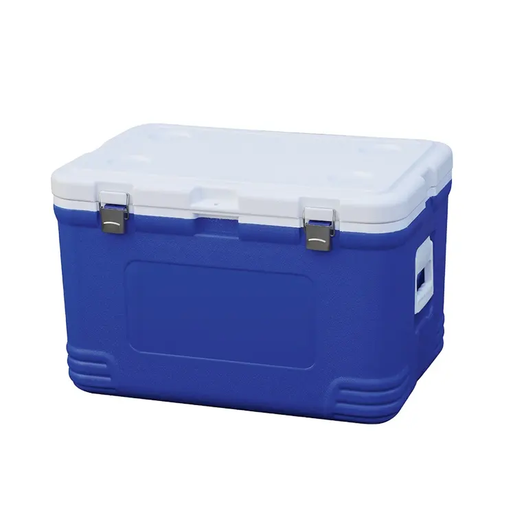 Insulated Bento Box with Cooler - Keep Your Lunch Fresh and Cold