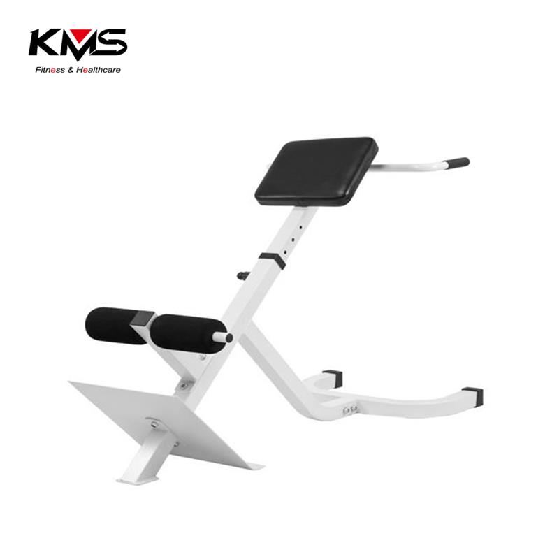 KQ-01102--Back Extension chair