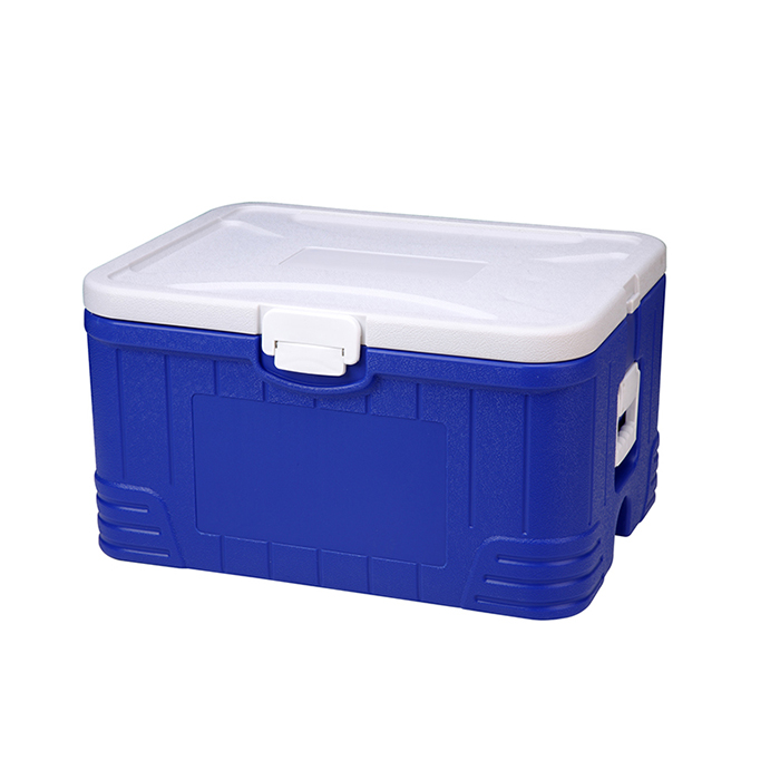 Top 12 Cooler Boxes to Keep Your Items Cold