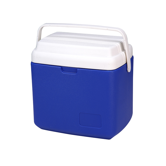 Large 42L Cool Box for Keeping Food and Drinks Cold