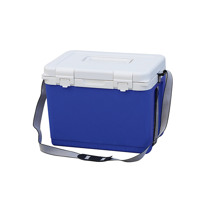 Top-rated 40l Electric Cool Box for Camping and Travel