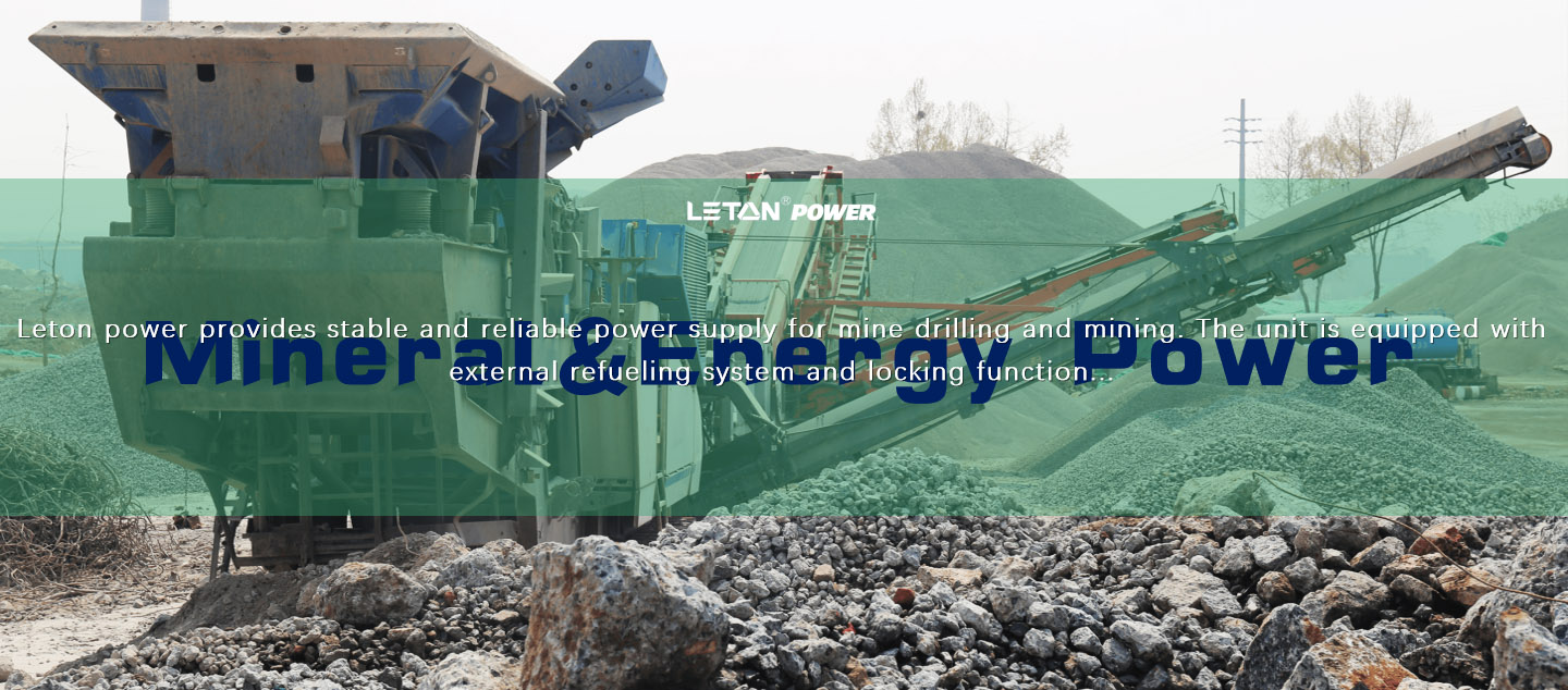 Mineral energy power support LETON power diesel generator set