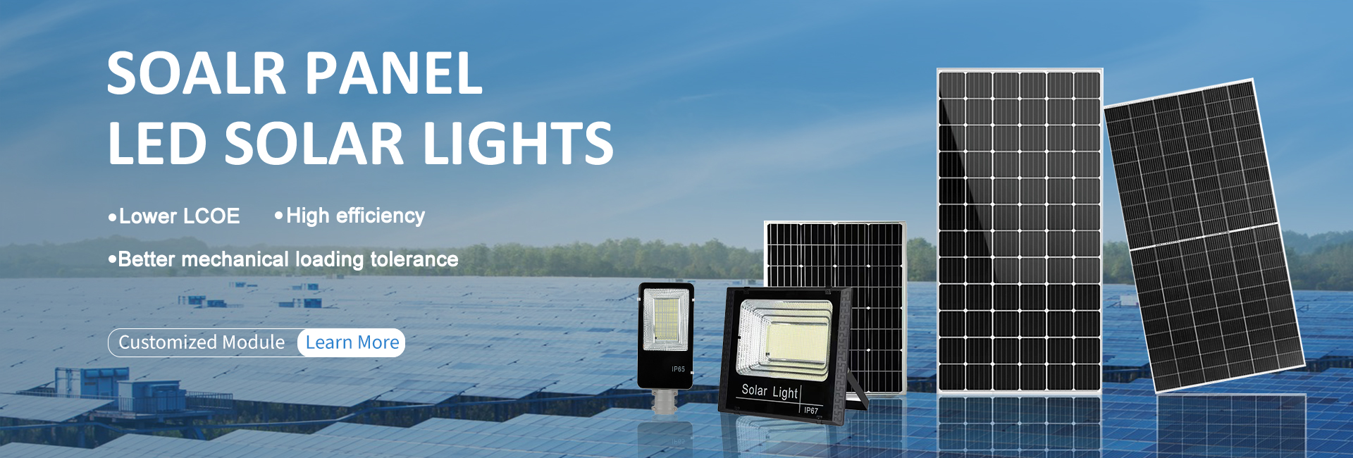 Energy Storage Batteries, Photovoltaic Panels, Inverter - Longrun