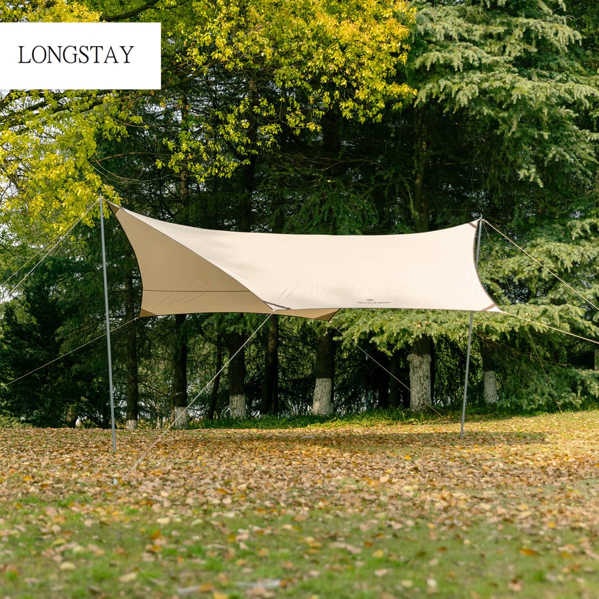 Fashion leisure hexagonal canopy tent