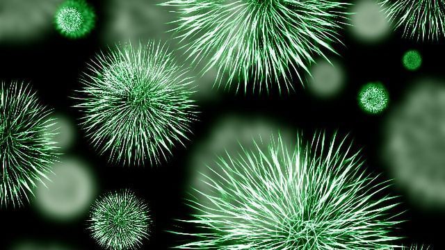 Watch As BacteriaEvolve Antibiotic Resistance In A Gigantic Petri Dish | Gizmodo Australia