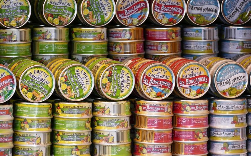 Top Canned Dog Food Options for a Healthy Immune System