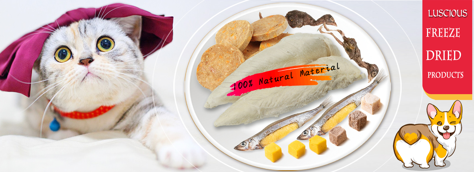 Dog Food, Cat Food, Pet Food, Pet Treats - Luscious