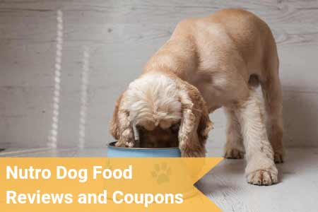 Dog Food | Cat Food | Pet Treats - NUTRO