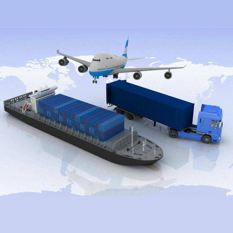 Professional Shipping Agent Forwarder In China For The European and American