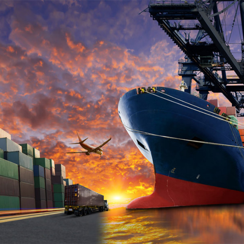 Boost Your Transportation Efficiency with a Top-tier Forwarder
