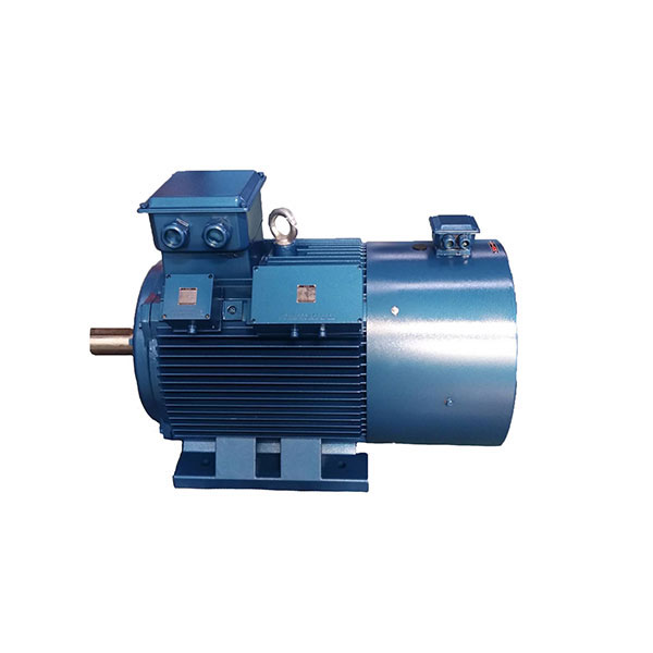TYZD series low-voltage low-speed direct-drive three-phase permanent magnet synchronous motor (380V H280-450)