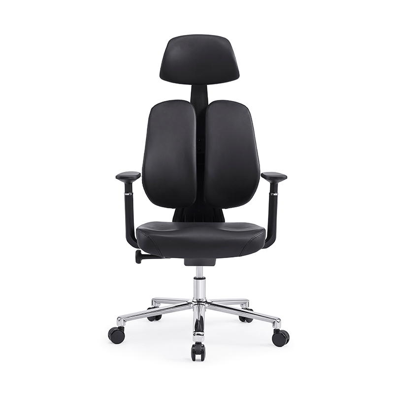 Dual Backrests, Ergonomic Office Chair, Back Support Office Chair, Best Office Chair for Posture