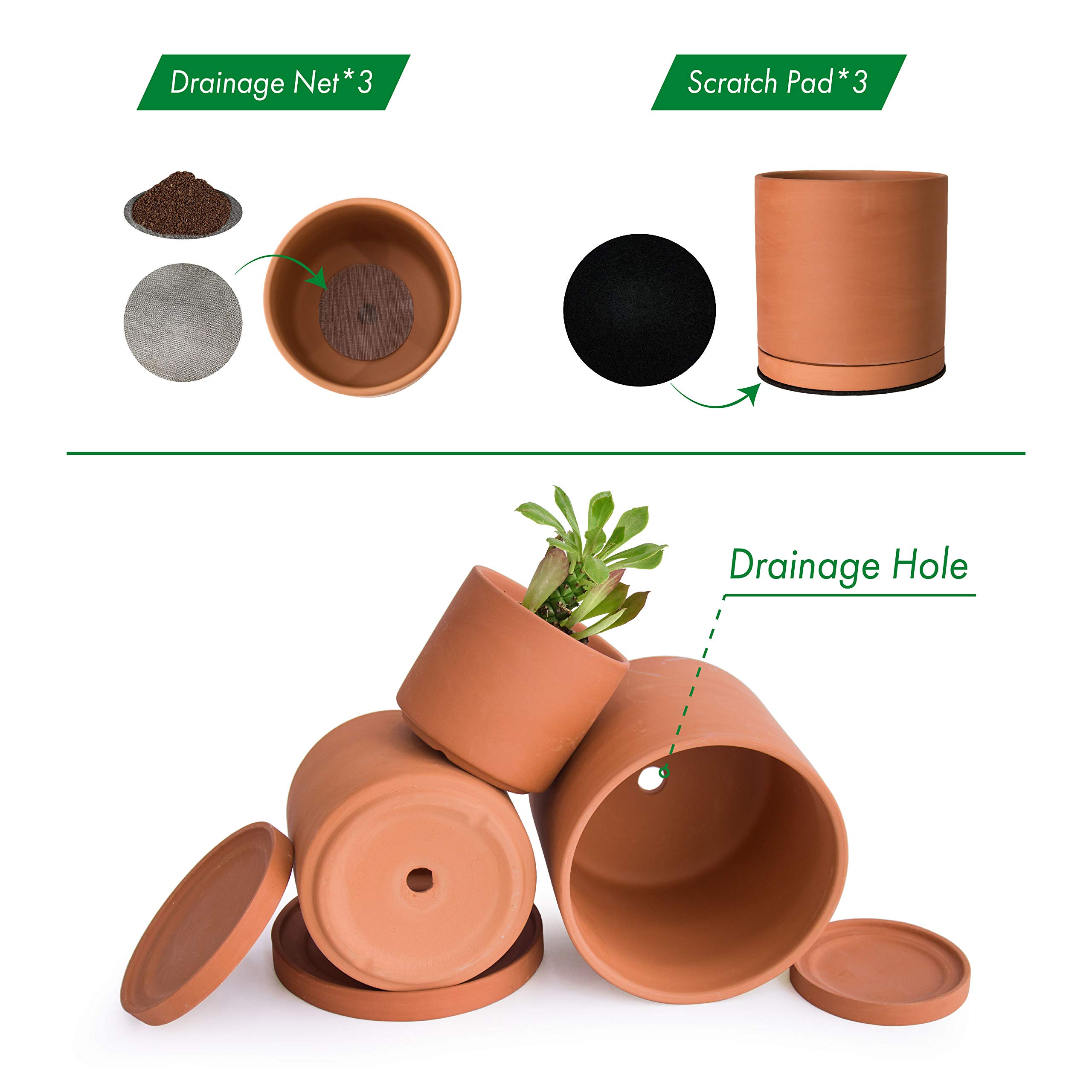 Terracotta Pots Succulent Planter with Drainage and Saucer Modern Home Decor
