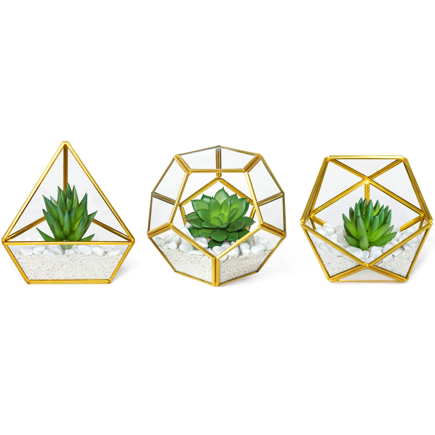 Artificial Succulent Plant in Glass Geometric Terrarium Room Decor