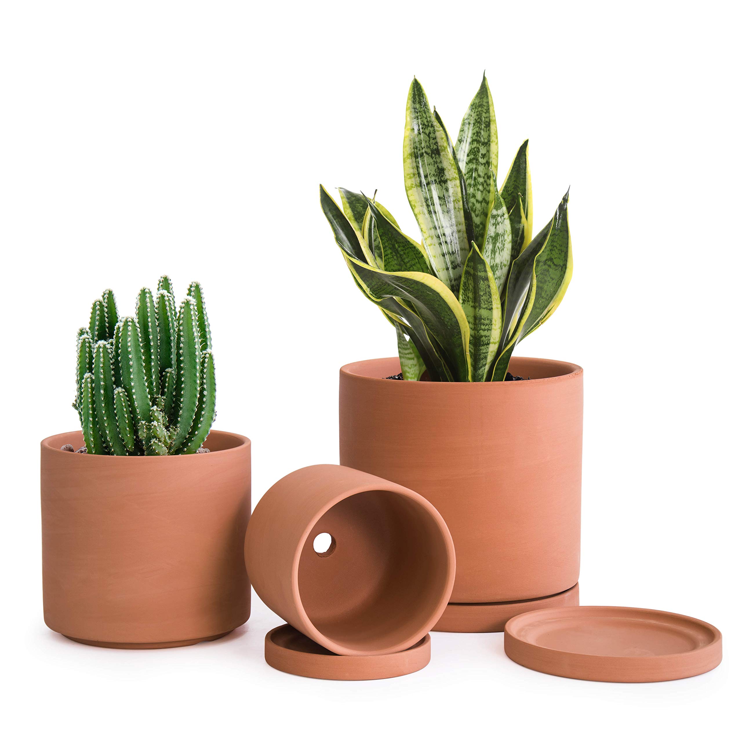 Terracotta Pots Succulent Planter with Drainage and Saucer Modern Home Decor