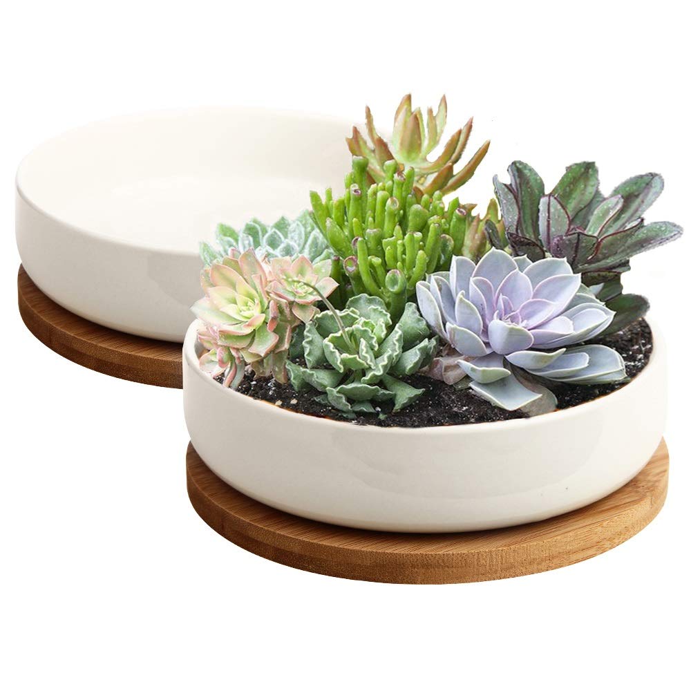 Succulent Pots White Ceramic Flower Planter with Bamboo Tray Garden Home Decor