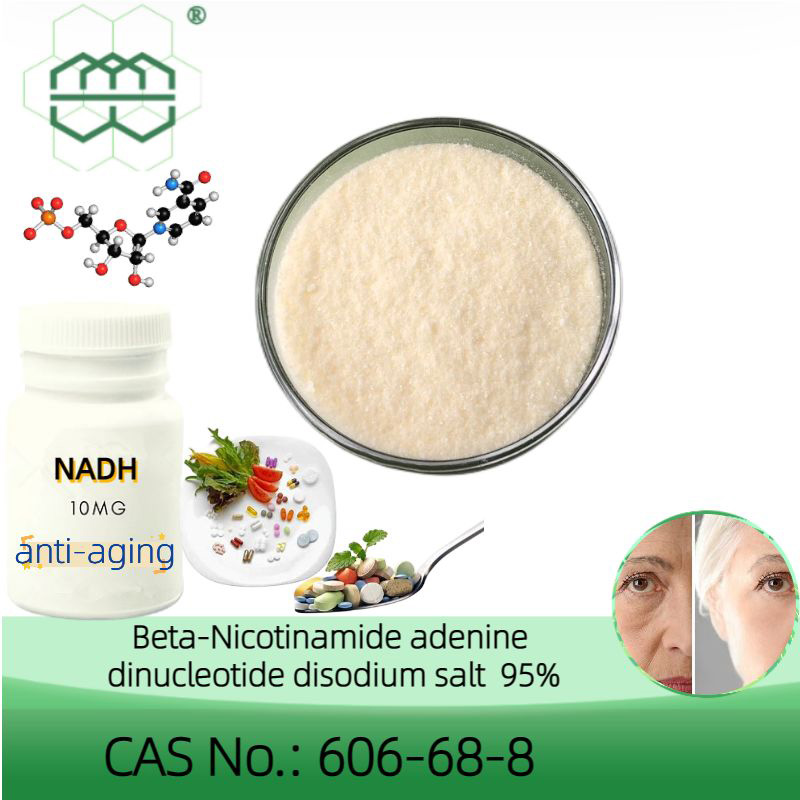 NADH CAS No.: 606-68-8 95.0% purity min. Anti-aging