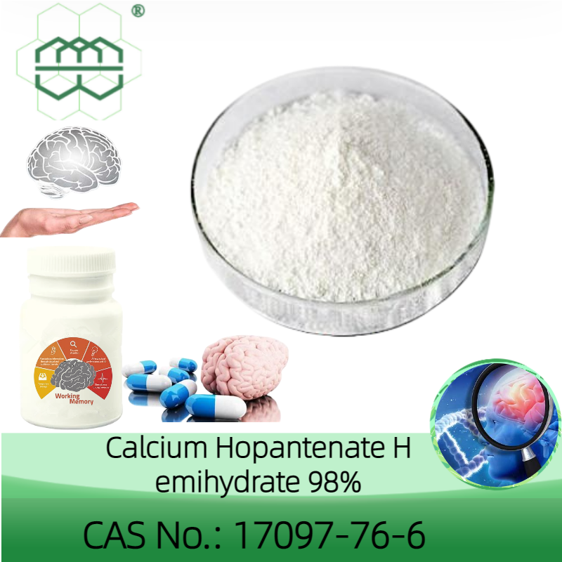 Nootropic CAS No.:17097-76-6 98.0% purity min. 