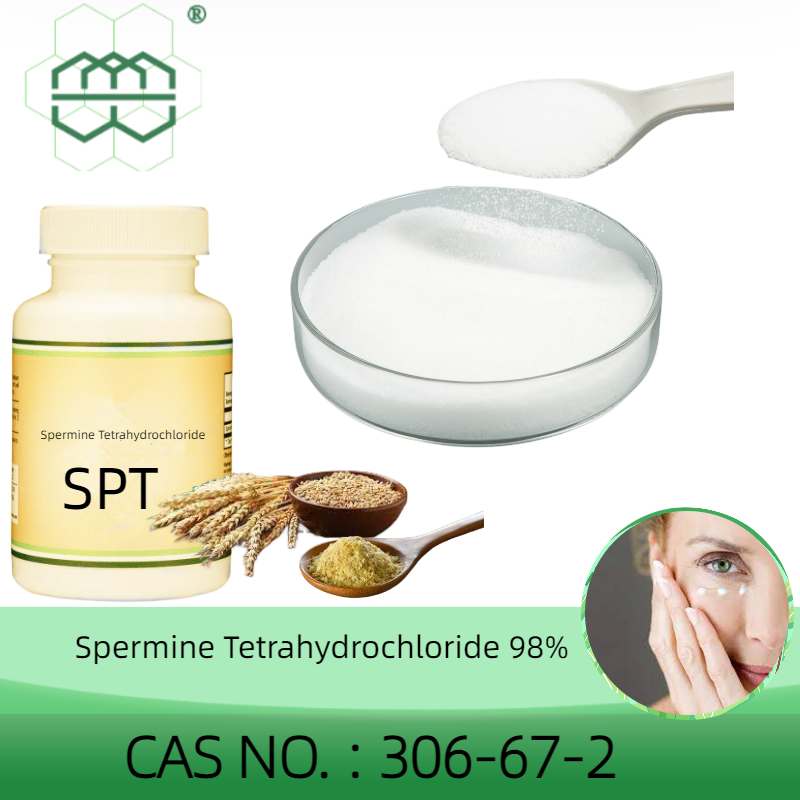 SPT CAS No.: 306-67-2 98.0% purity min. anti-aging and enhancement of cognitive ability