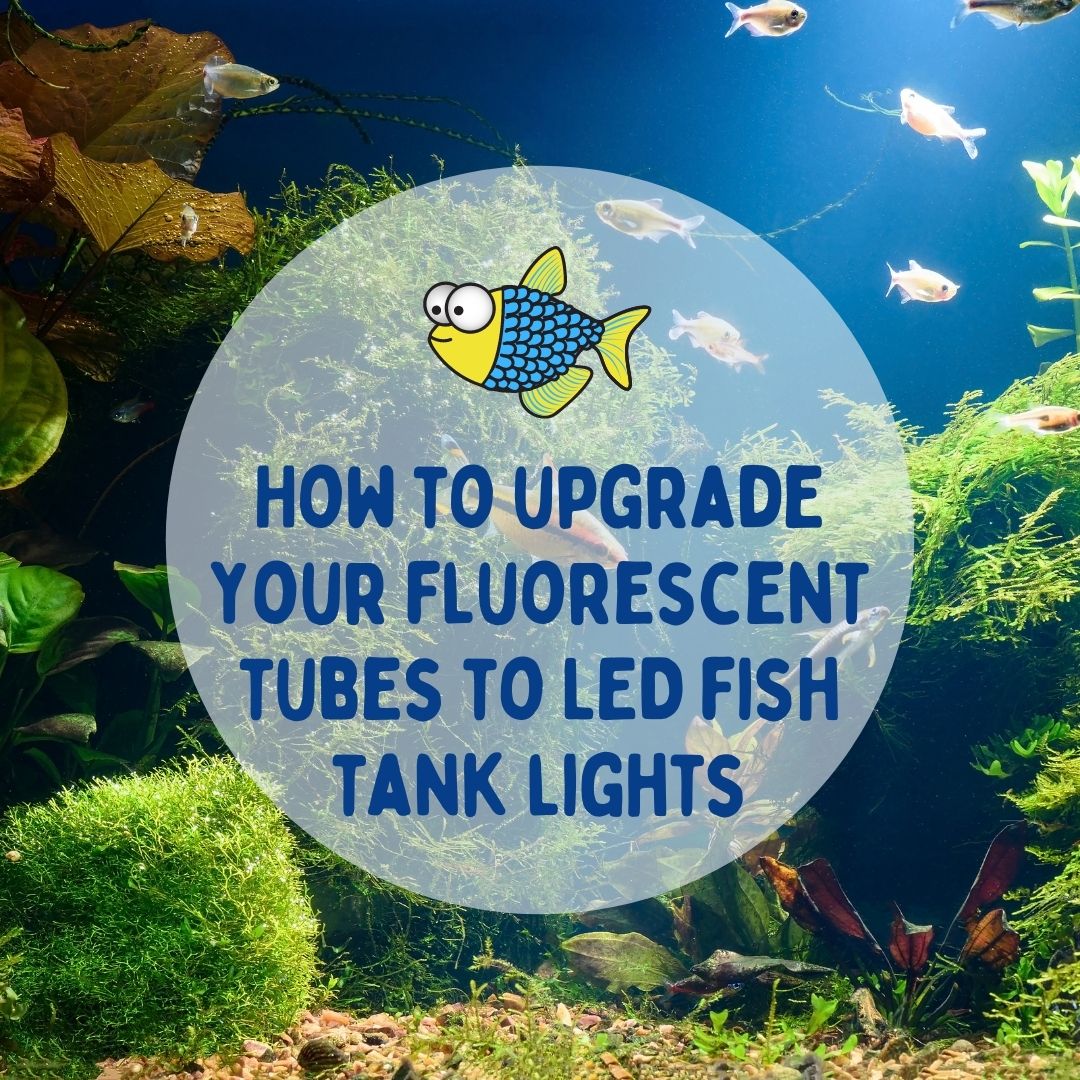 led tube lights,led tube light,led fluorescent tube,t5 led tube|led t5 lighting 60CM integrated|ICT5IL060P07W