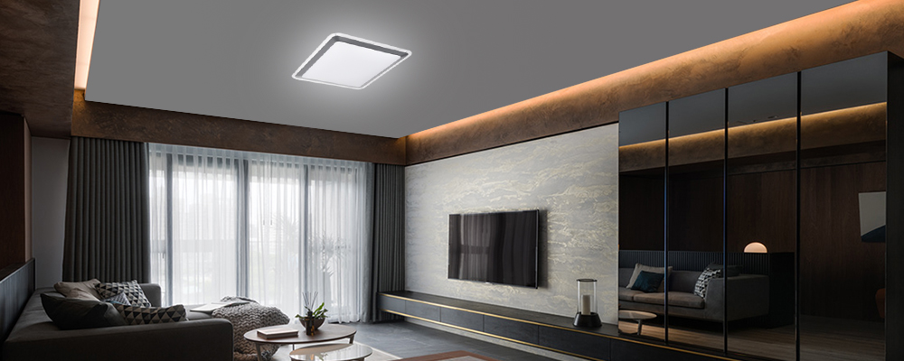 CCT and DIM Multifunctional LED Ceiling Lights (5)