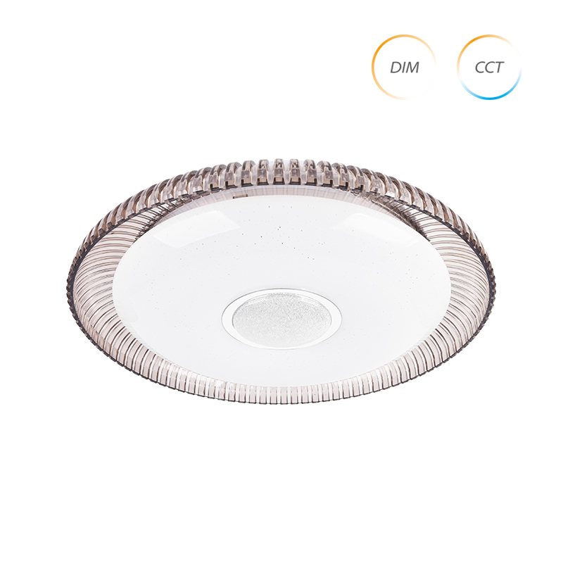 CE2266 Modern Ceiling Lamp for Perfect decoration